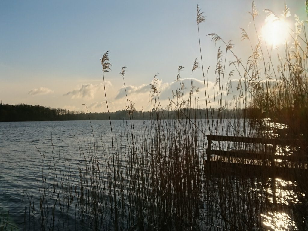 SeelenKlangMassage mit Koshi Klängen Barmstedt - tiefe Entspannung, energetische Reinigung, achtsame Berührung. 